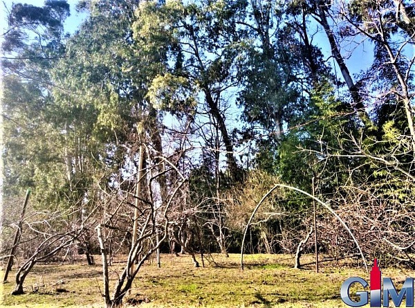 Plot of land in the village of Chakvi, near Batumi