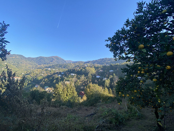 Участок в Дагве с видом на море