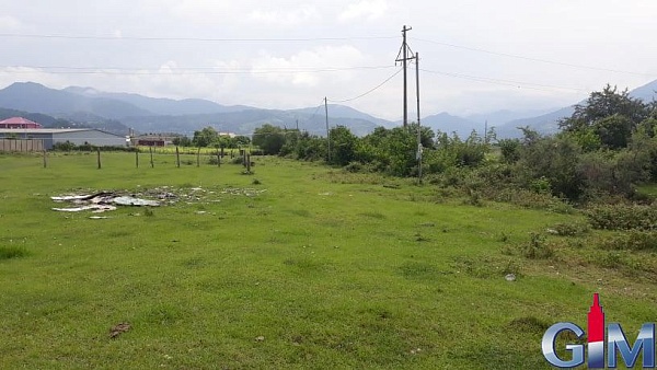 Plot in Batumi, Medzhiniskali village.