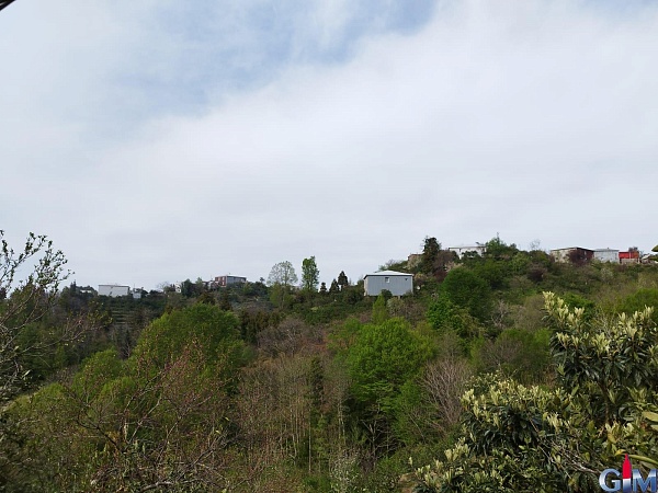 House with a plot in Kveda Achkva, Batumi