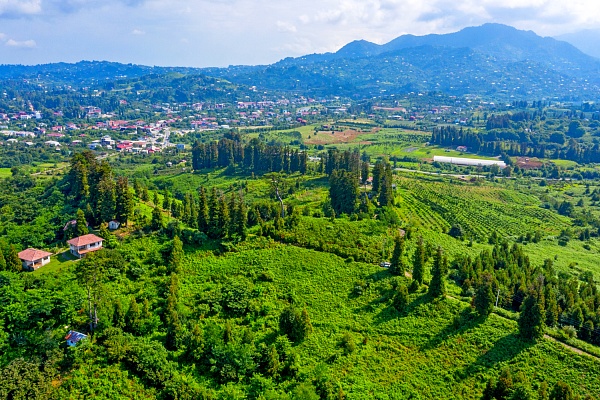 Plot in the suburbs of Batumi