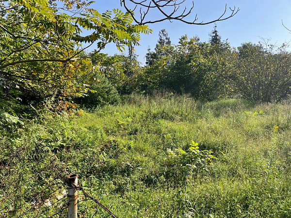 Участок НЕСЕЛЬХОЗ