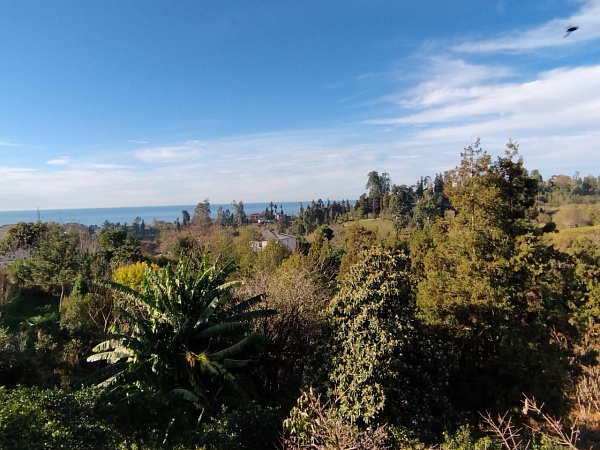 Nicht landwirtschaftliches Land in der Nähe von Batumi, in Buknari