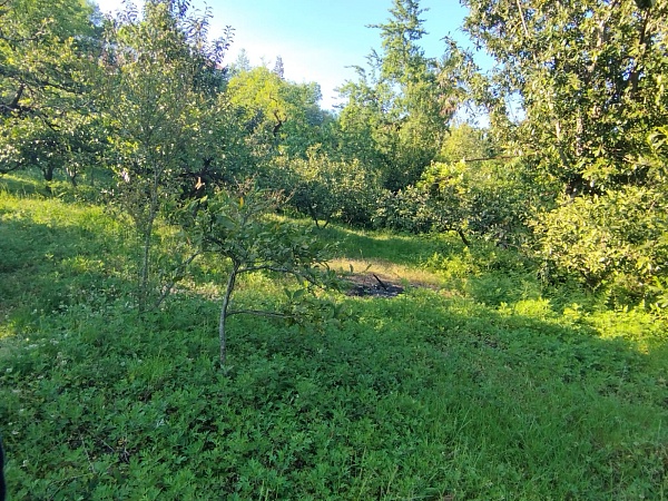 Участок в пригороде Батуми, в Букнари