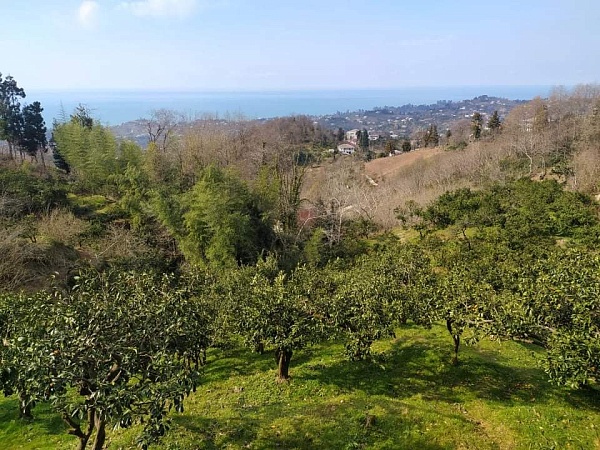 Vând o casă în suburbiile orașului Batumi.