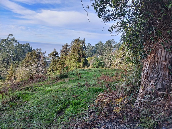 Non-agricultural land near Batumi.