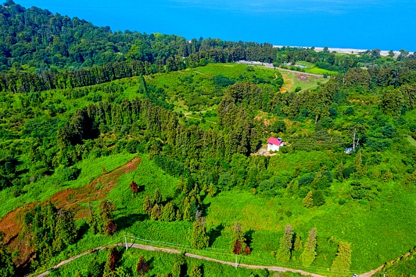 Grundstück in den Vororten von Batumi