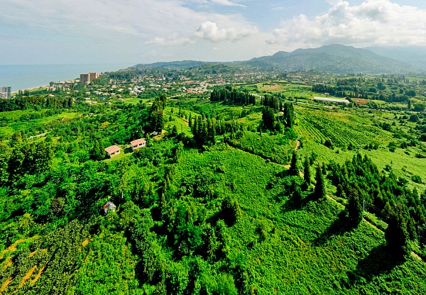 Plot in the suburbs of Batumi