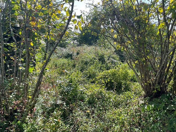 Участок несельхоз