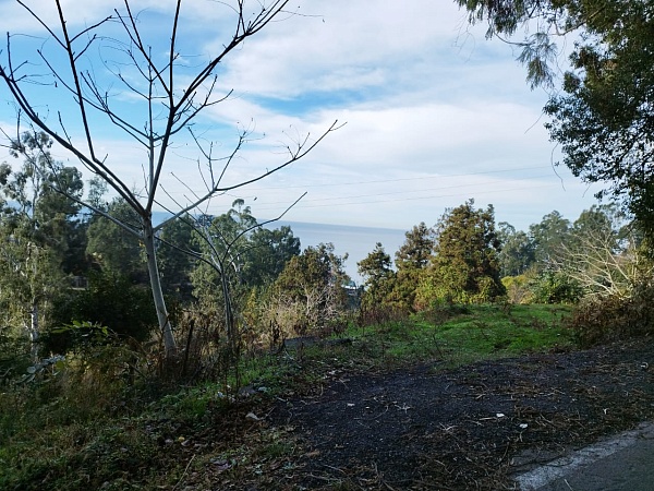 Non-agricultural land near Batumi.