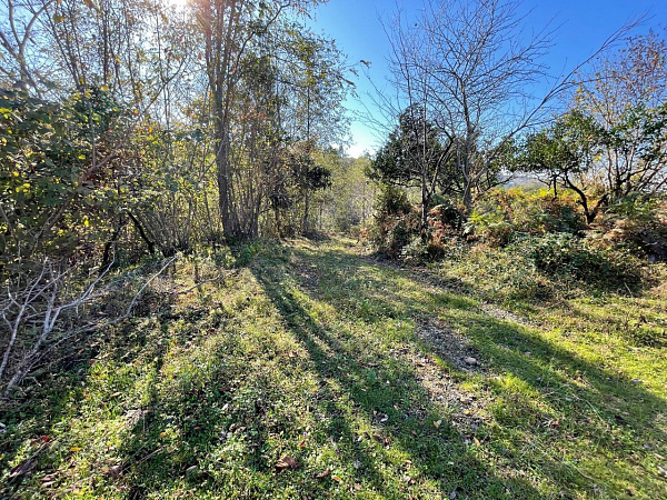 Участок в селе Хуцубани