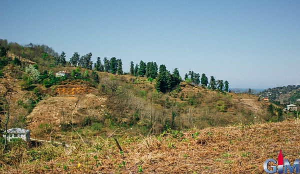 Land plot in Ortabatumi