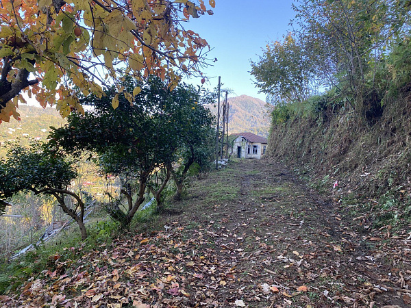  Участок в Дагве с видом на море