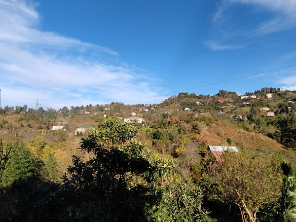 Non-agricultural land near Batumi, in Buknari