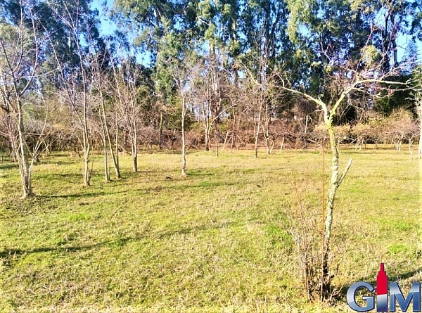 Plot of land in the village of Chakvi, near Batumi