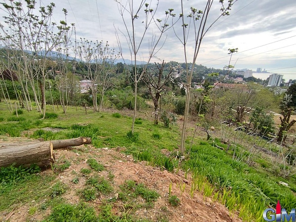 Large plot near Batumi