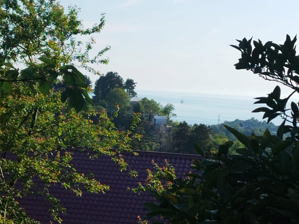 Plot in the suburbs of Batumi, in Buknari