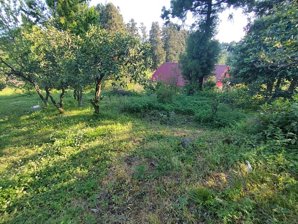 Plot in the suburbs of Batumi, in Buknari