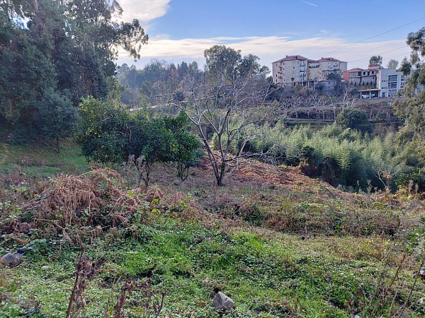 Non-agricultural land near Batumi.