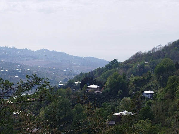 Sale of a house with a plot in the suburbs of Batumi
