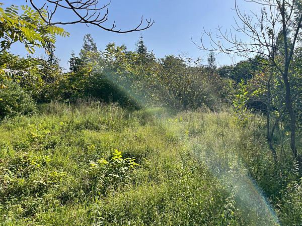 Участок НЕСЕЛЬХОЗ