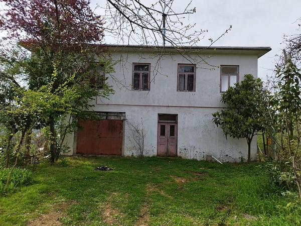 House with a plot close to Batumi