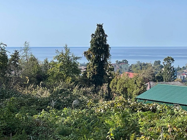 Land for sale near Batumi