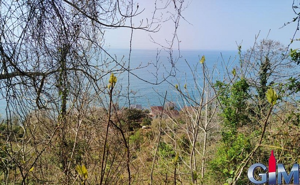 Plot in Sarpi, near the sea, Batumi