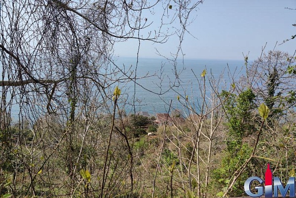 Plot in Sarpi, near the sea, Batumi