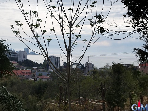 Großes Grundstück in der Nähe von Batumi