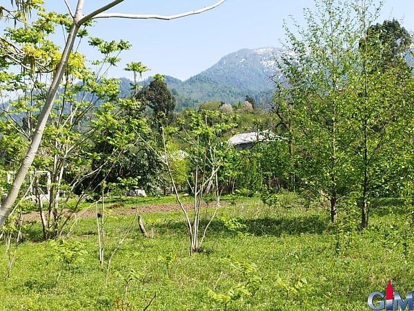 Land for sale in Batumi, Chaisubani