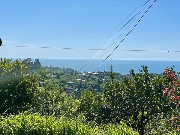 Reduced price of a plot in the suburbs of Batumi