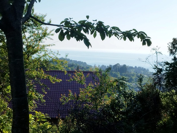 Plot in the suburbs of Batumi, in Buknari