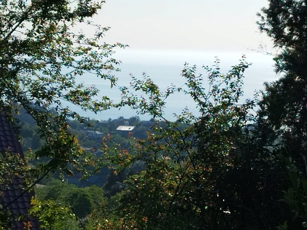 Plot in the suburbs of Batumi, in Buknari