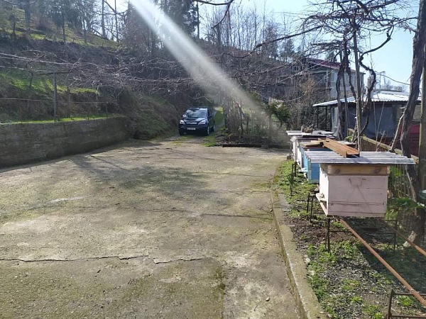 Batumi 교외에 있는 집을 판매합니다.