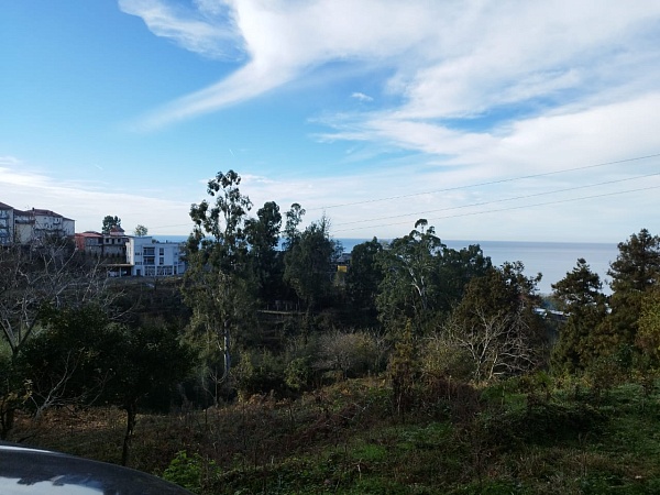 Non-agricultural land near Batumi.