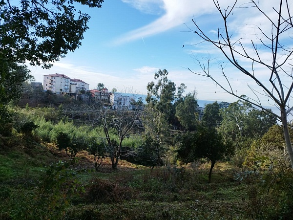 Non-agricultural land near Batumi.