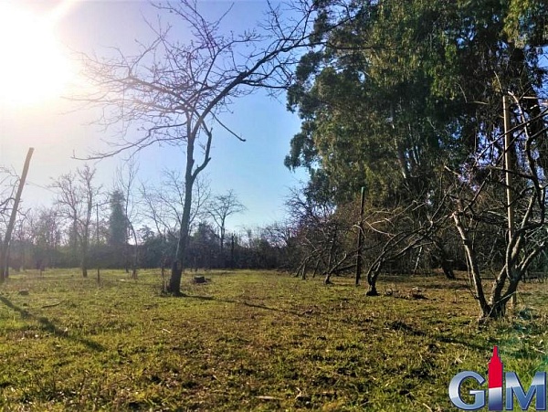 Plot of land in the village of Chakvi, near Batumi