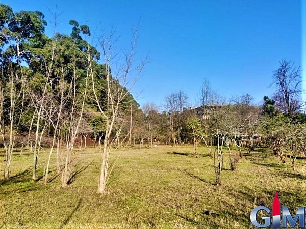 Plot of land in the village of Chakvi, near Batumi