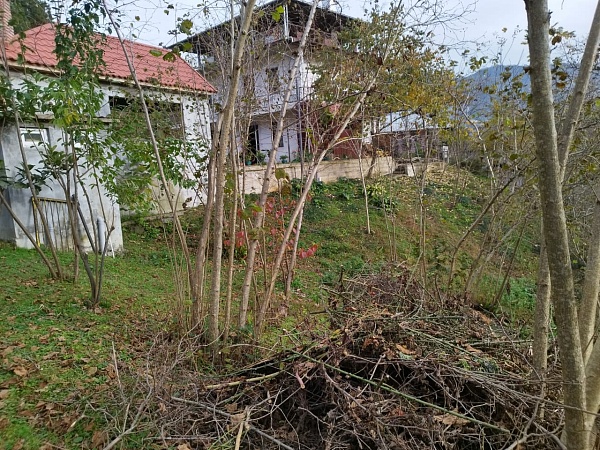 House in Buknari, near Batumi