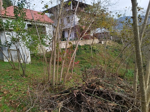 Batumi yaqinidagi Buknaridagi uy