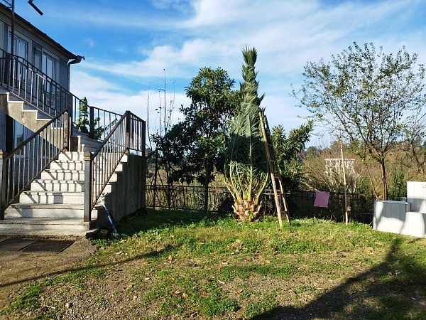 Non-agricultural land near Batumi, in Buknari