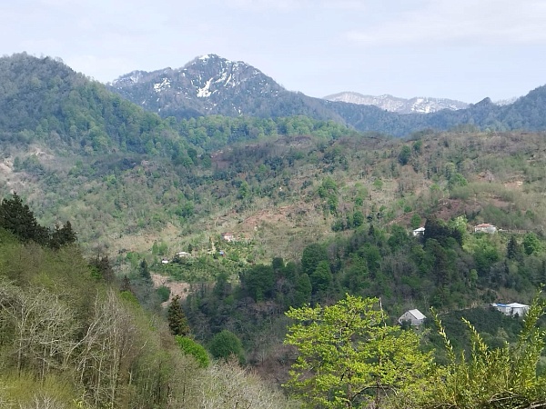 Verkauf eines Hauses mit Grundstück in einem Vorort von Batumi