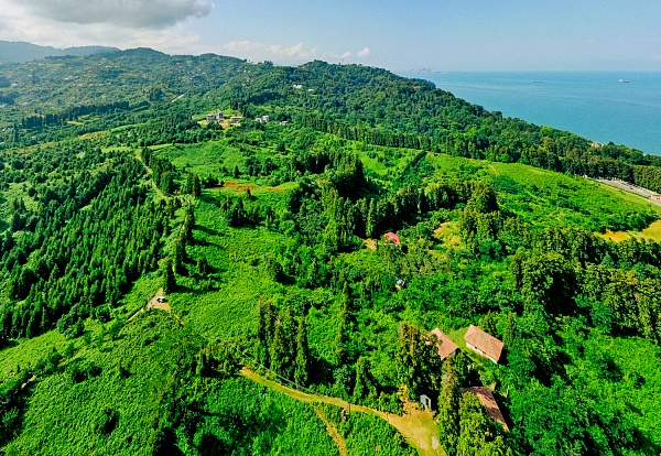 Plot in the suburbs of Batumi