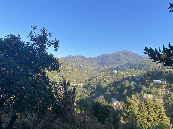 Участок в Дагве с видом на море