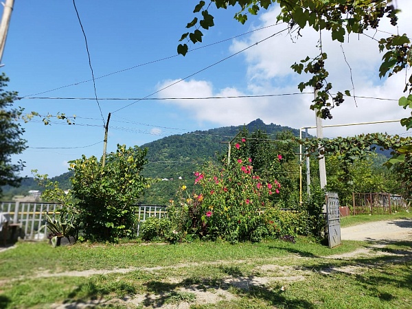 House with a large plot in Khala, near Batumi