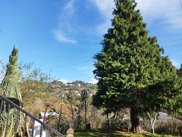 Non-agricultural land near Batumi, in Buknari