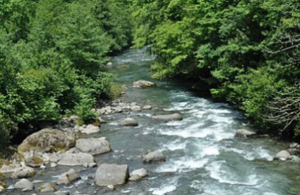 Участок в селе Хуцубани