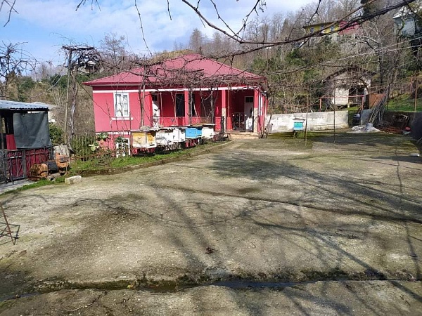 Selling a house in the suburbs of Batumi.