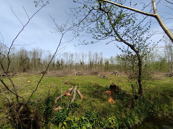 Land plot in Ozurgeti
